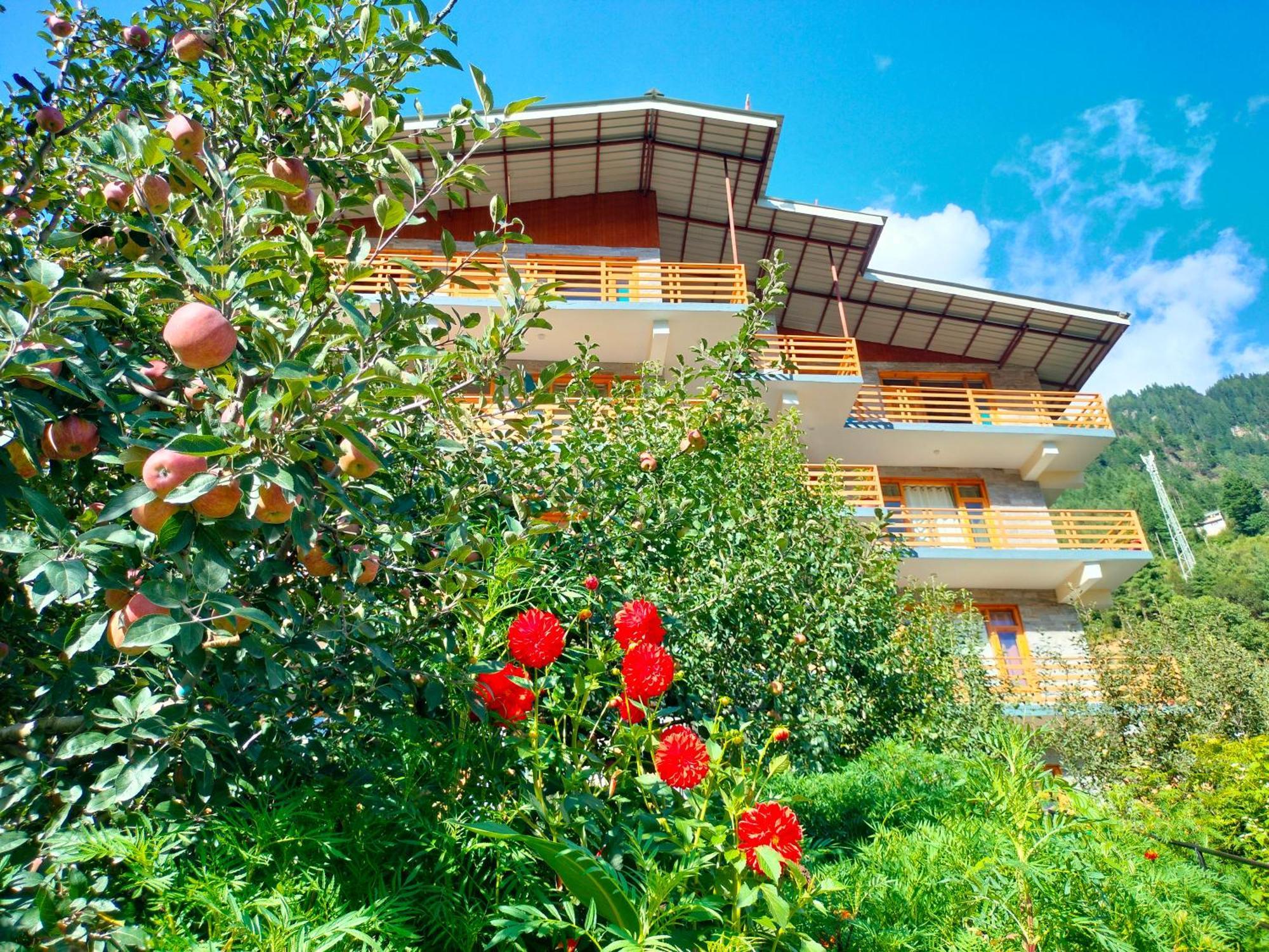 Lotus Retreat Villa - Manali (Himachal Pradesh), Manali